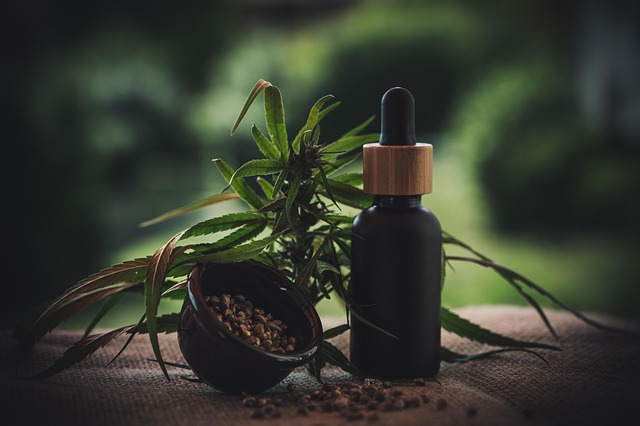 THC en CBD: Alles wat je moet weten over deze cannabinoïden